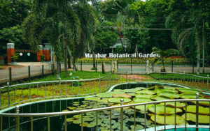 Malabar Botanical Garden & Institute for Plant Sciences (MBGIPS)